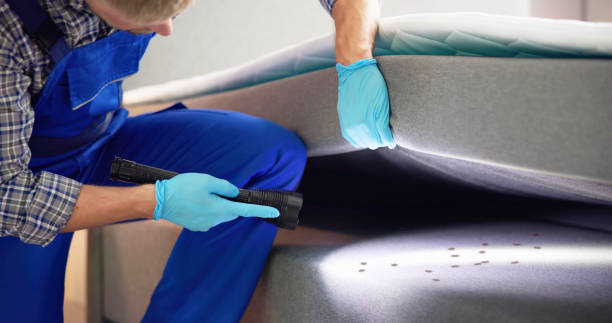 Best Commercial Pest Control Services  in Sedalia, MO