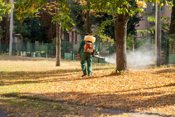 Reliable Sedalia, MO Pest Control Solutions