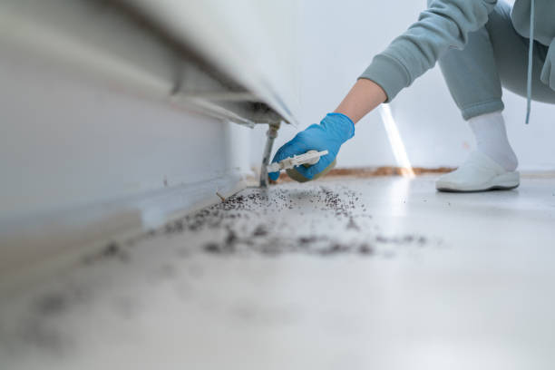  Sedalia, MO Pest Control Pros
