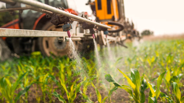 Pest Prevention Services in Sedalia, MO